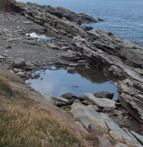 A rocky sea-coast, with boulders protruding off-shore
